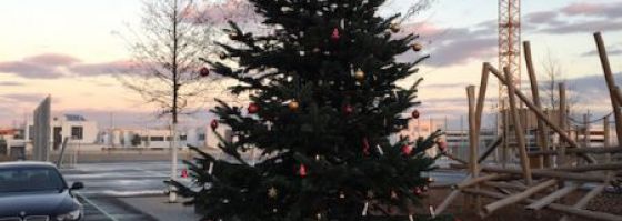 Weihnachtsbaum für die Marie-Curie-Schule